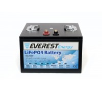 Литиевый тяговый аккумулятор Everest Energy LFP-24V100А