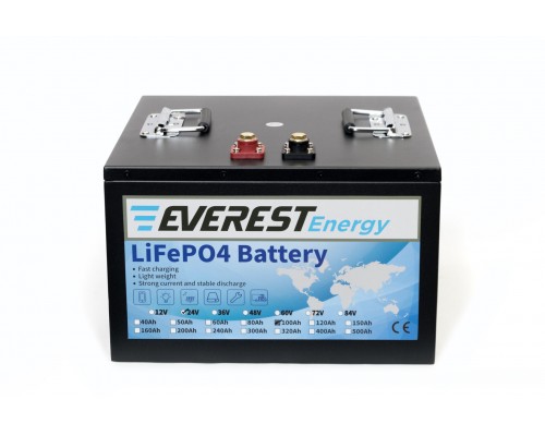 Everest Energy LFP-24V100А
