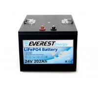 Литиевый тяговый аккумулятор Everest Energy LFP-24V202А