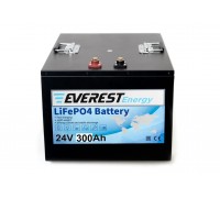 Литиевый тяговый аккумулятор Everest Energy LFP-24V300А