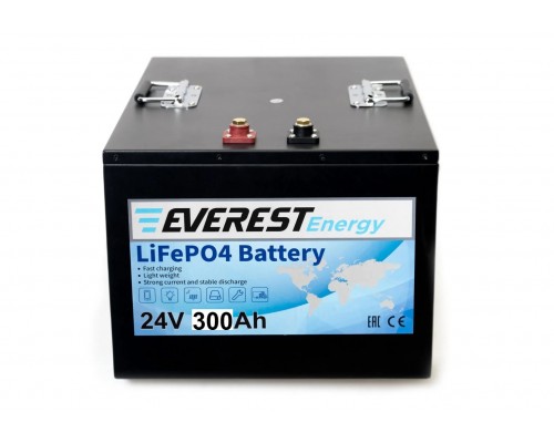 Everest Energy LFP-24V300А