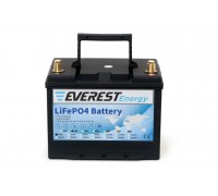 Литиевый тяговый аккумулятор Everest Energy LFP-24V40А