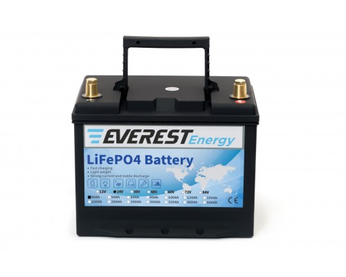 Everest Energy LFP-24V40А