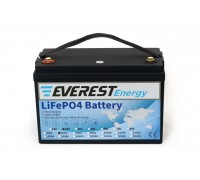 Литиевый тяговый аккумулятор Everest Energy LFP-24V50А