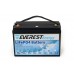 Литиевый тяговый аккумулятор Everest Energy LFP-24V50А