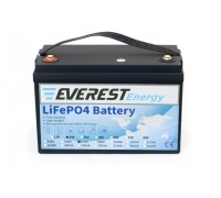 Литиевый тяговый аккумулятор Everest Energy LFP-24V60А