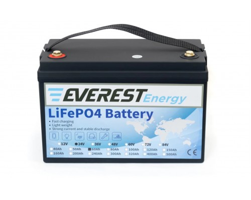 Everest Energy LFP-24V60А