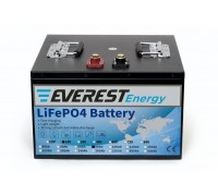 Литиевый тяговый аккумулятор Everest Energy LFP-24V80А