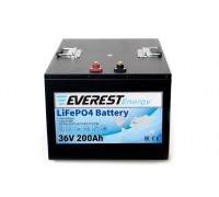 Литиевый тяговый аккумулятор Everest Energy LFP-36V200А