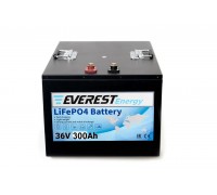 Литиевый тяговый аккумулятор Everest Energy LFP-36V300А