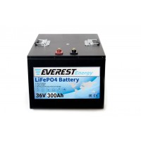 Everest Energy LFP-36V300А
