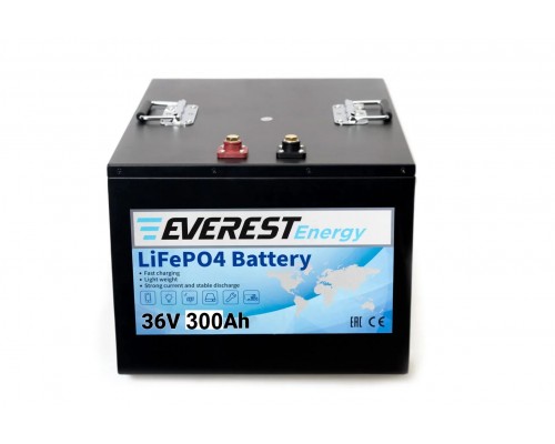 Everest Energy LFP-36V300А